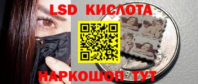 мяу мяу мука Гатчина